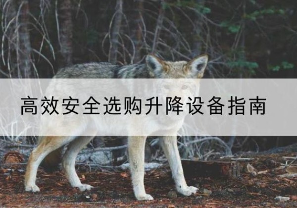 交城升降货梯厂家推荐-*安全选购升降设备指南