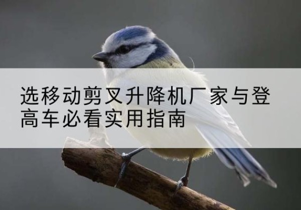 交城电动升降机厂家-选移动剪叉升降机厂家与登高车必看实用指南